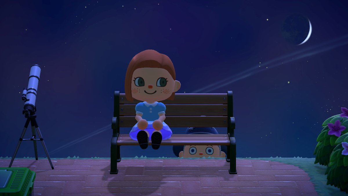 applesmugglers's tweet photo. #AnimalCrossing #ACNH #NintendoSwitch https://t.co/0BLllf5HPN