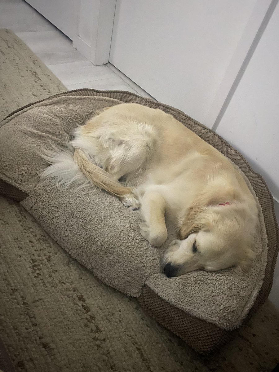 Nikinewberg's tweet photo. Be still my heart. ❤️ https://t.co/WExVuQpzKF
