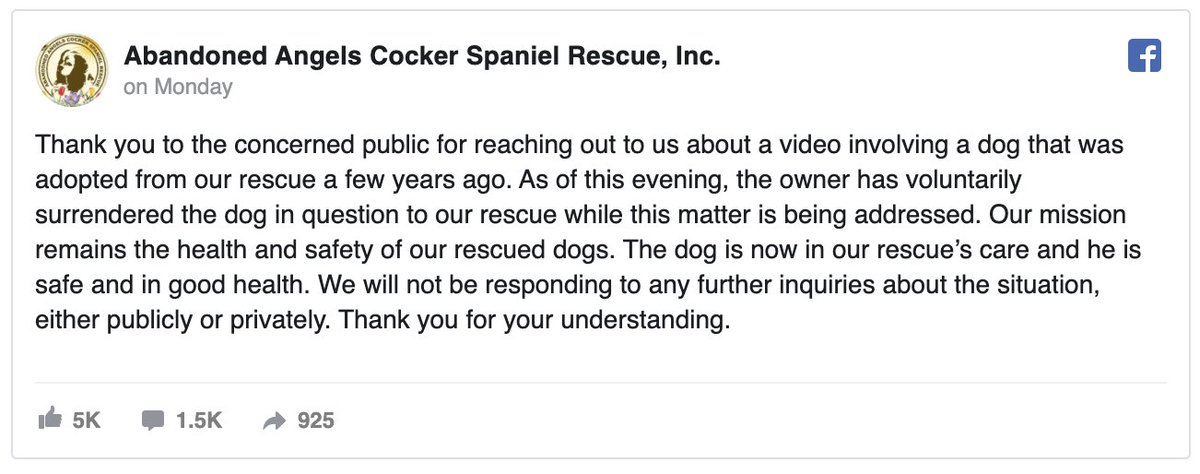 The dog, whose name I cannot find, was voluntarily surrendered to a rescue group who posted this message on Facebook. The public was concerned after the previous video was spread, as the dog flails several times to escape being strangled due to his owner's handling of his leash.
