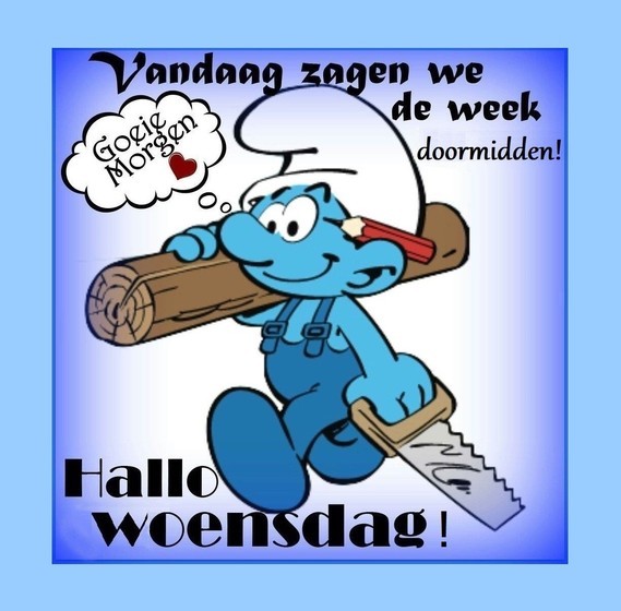Goedemorgen lieve dames en beste heren vanuit een zonnig Westland iedereen  een schitterende dag nog 🌞🌞🌞
