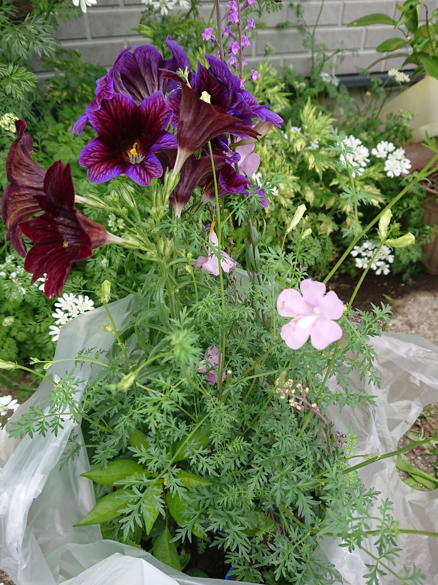 ホーマック那珂店