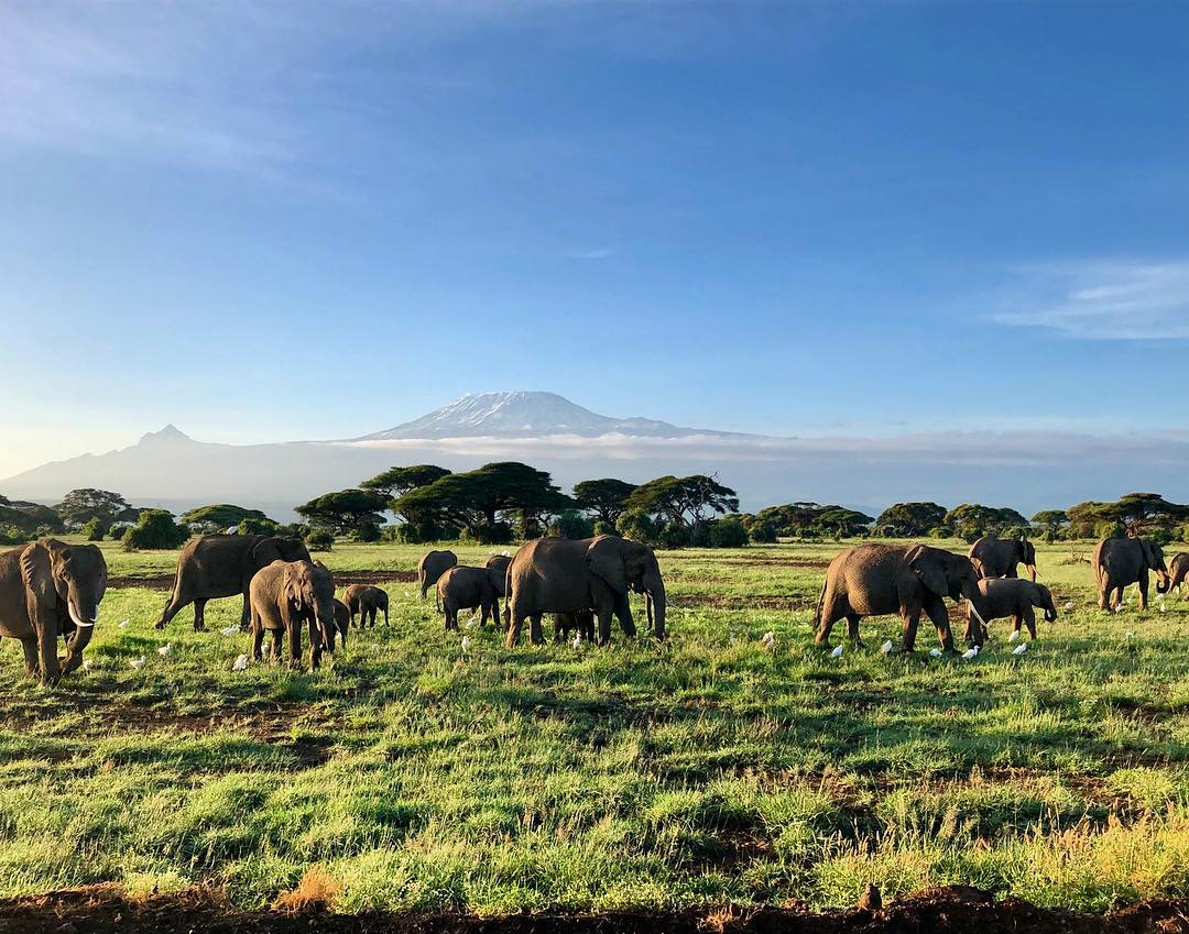 Kenya Pics tweet media