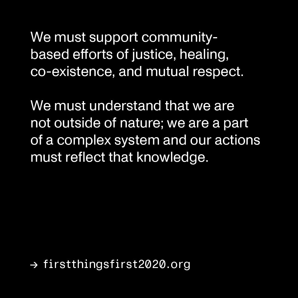 The Determined tweet media