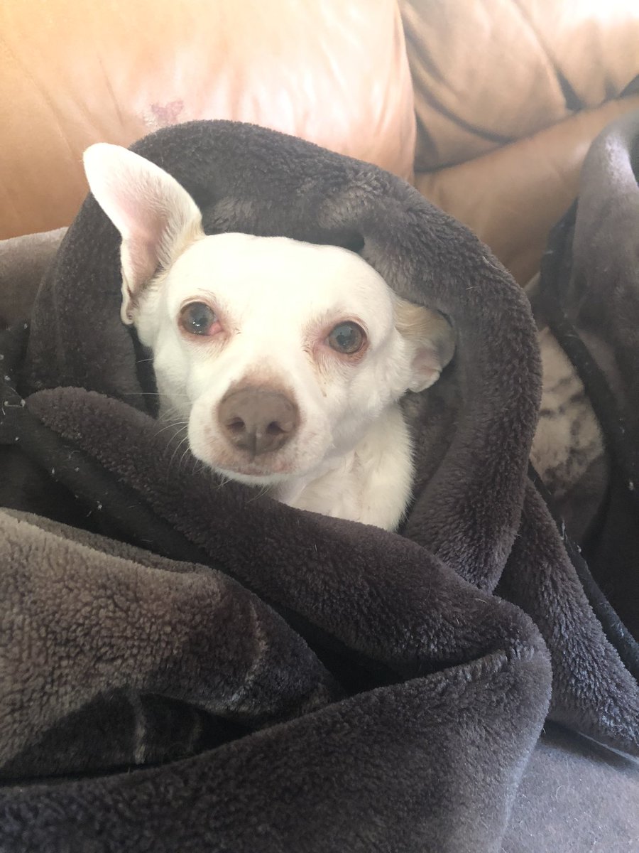 Laura carruthers 🌈🌞🌈 tweet media