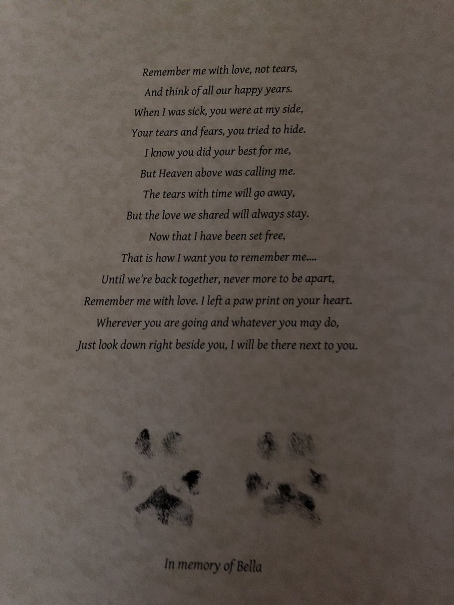 Laura carruthers 🌈🌞🌈 tweet media