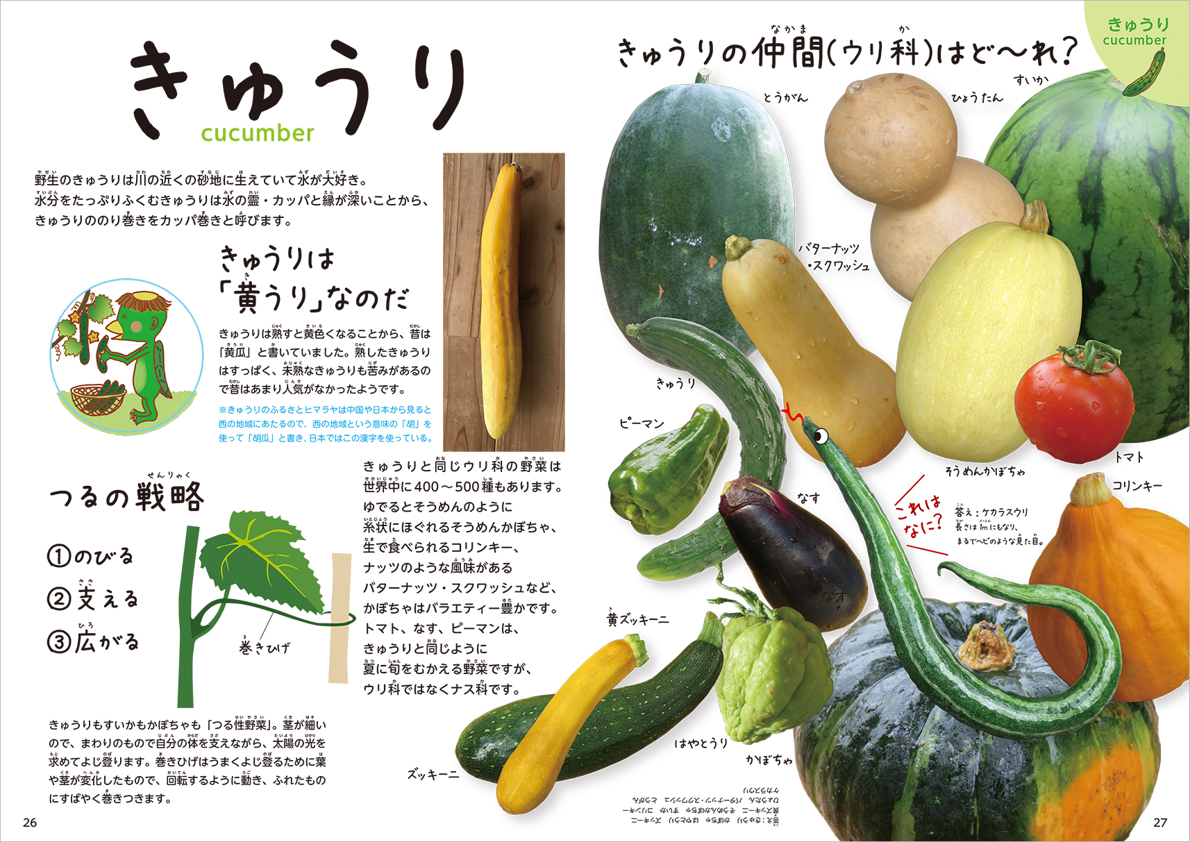 Twitter 上的 群羊社 たのしい食育教材 Books 最新刊 たべもの 食育絵本 野菜の教え 春 夏編 秋 冬編 ご好評につき 送料無料キャンペーンを５月29日 金 まで延長いたします T Co Qnwcctzc2c 新刊 野菜の教え 食育 絵本 本 子どもとおとな