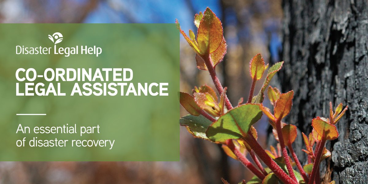 Disaster Legal Help tweet media