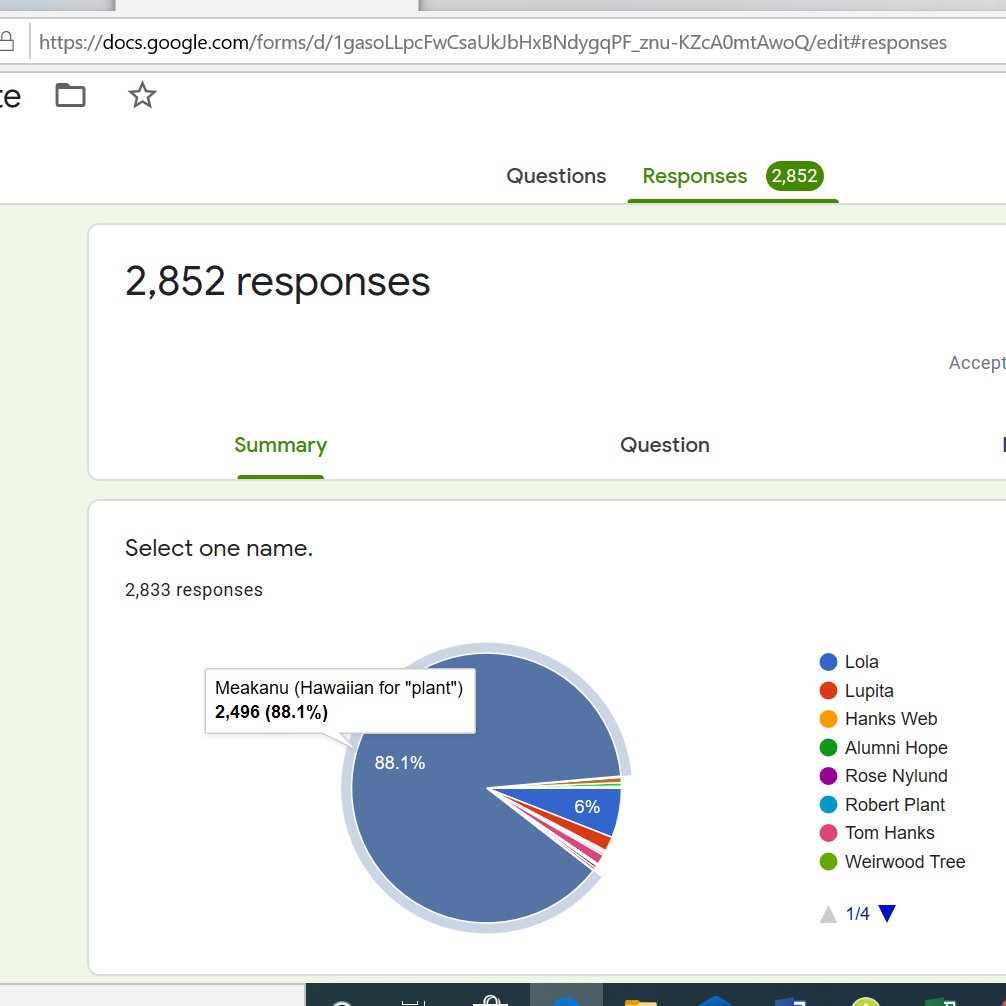 hanks_library's tweet photo. So I did not get around to our plant name yesterday but the results are in! After 2,852 responses, our plant was officially named Meakanu, which means plant in Hawaiian. Thank you to all of those that suggested names and voted. #HanksLibrary #HanksKnights #KnightReaders #Meakanu https://t.co/z7ZDy7PIBl
