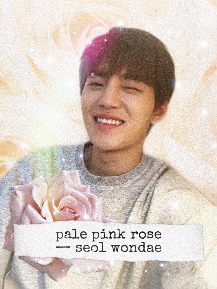  #원대  #WONDAE— rose (specifically this colour) suits wondae so well pls he’s so gentle and radiates so much happy energy:( his soul is light, like seriously, he is so gentle and he feels emotions deeply. he is not afraid to show his emotions and i admire that so much.