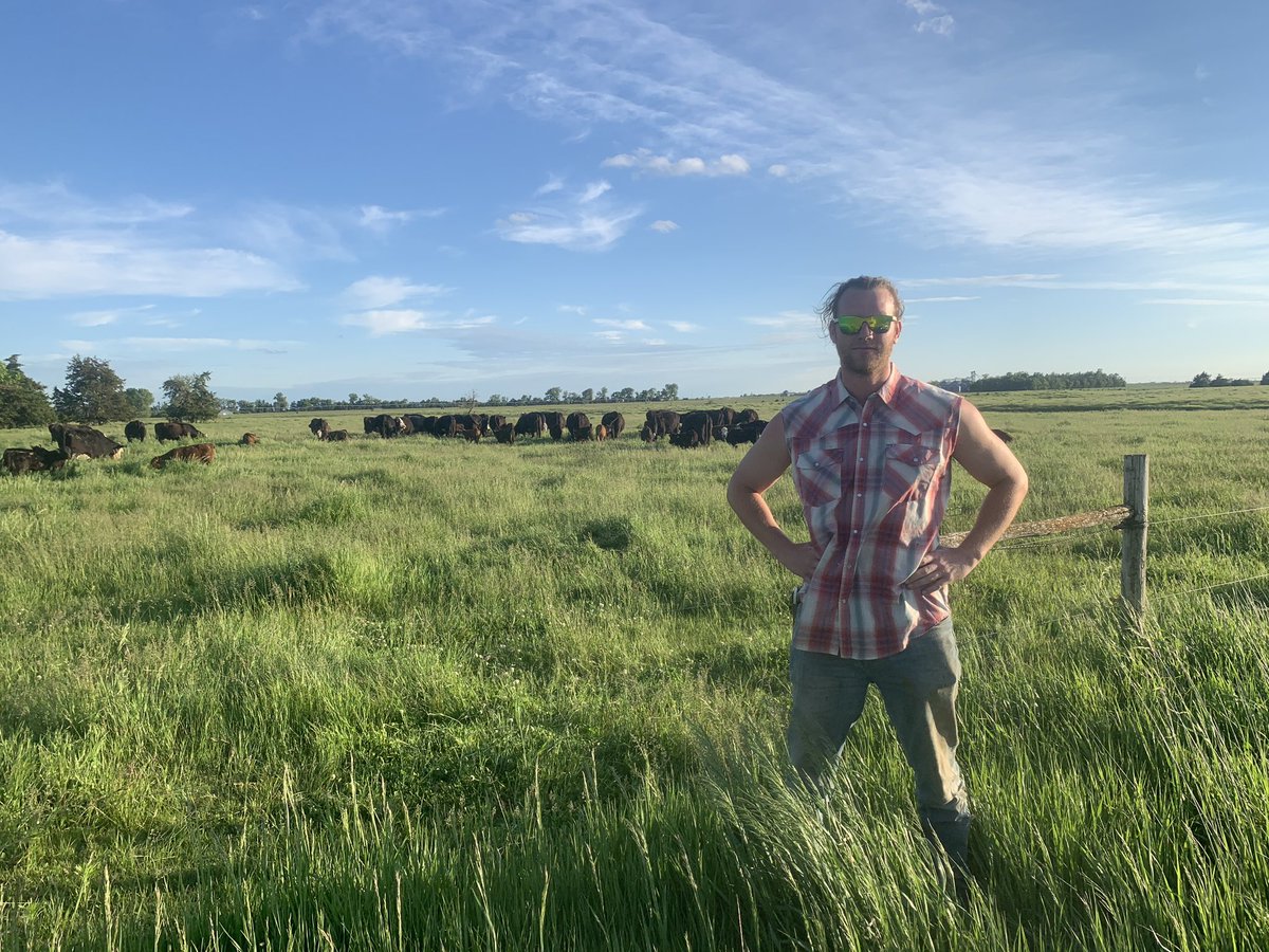 DrewDanielOtt's tweet photo. Got these cows out on grass today only so that in turn they promised me some Twitter votes, who else wants to trade some grass for votes? 

https://t.co/Ummnkg4S7G https://t.co/RnwewjNIBZ