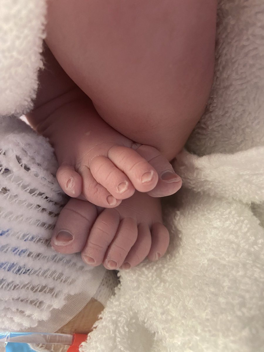 Josh Newman tweet media