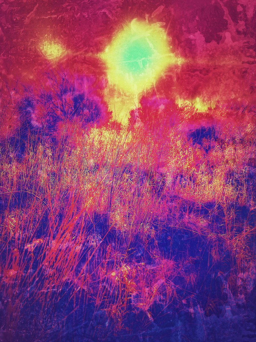 RiffHaven's tweet photo. #riffhaven Episode 177 airs tonight from 9-11 PM MDT on @RadioBoise featuring new music from #Spotlights #Shiner #TurtleSkull #BlackMountain #HighPriestess #Geezer #Clutch & more
#turnitupto11 #radioboise #StonerRock #HeavyPsych #PsychedelicRock #vinyl #vinylrecords #records https://t.co/s06i8ipHFD