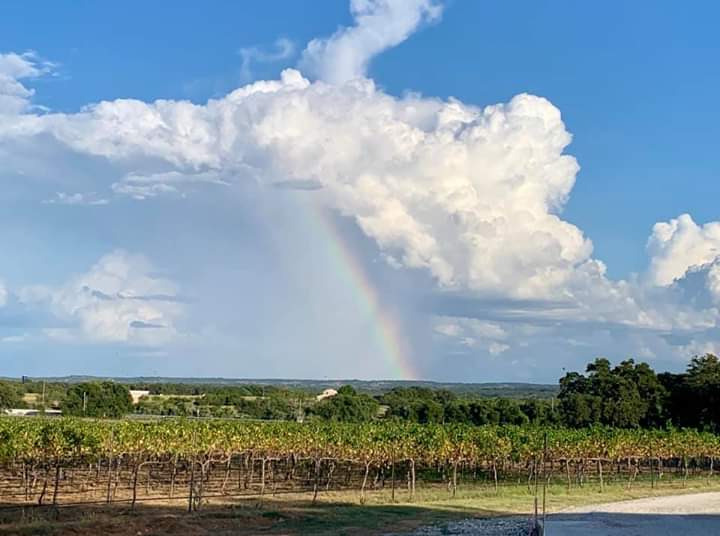 Texas Hill Country #fredericksburgtx