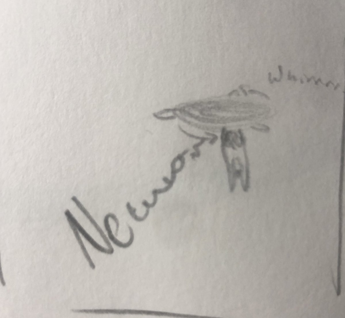 chairjohnson's tweet photo. i was really on some other shit in 2018...... this was in a sketchbook near to the word heLEGcopter https://t.co/xCo14wBflM