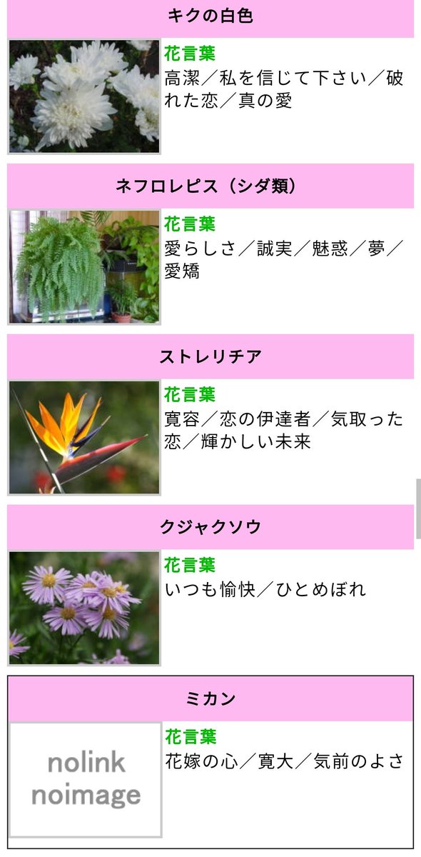 弓蝉 ワケあって花言葉を調べていて ついでに生徒会番長様の誕生花の花言葉も調べちゃお と思ったら余りにも それ らしくて涙 白い菊の 高潔 ネフロレピスの 魅惑 ストレリチアの 輝かしい未来 クジャクソウの いつも愉快 ミカンの