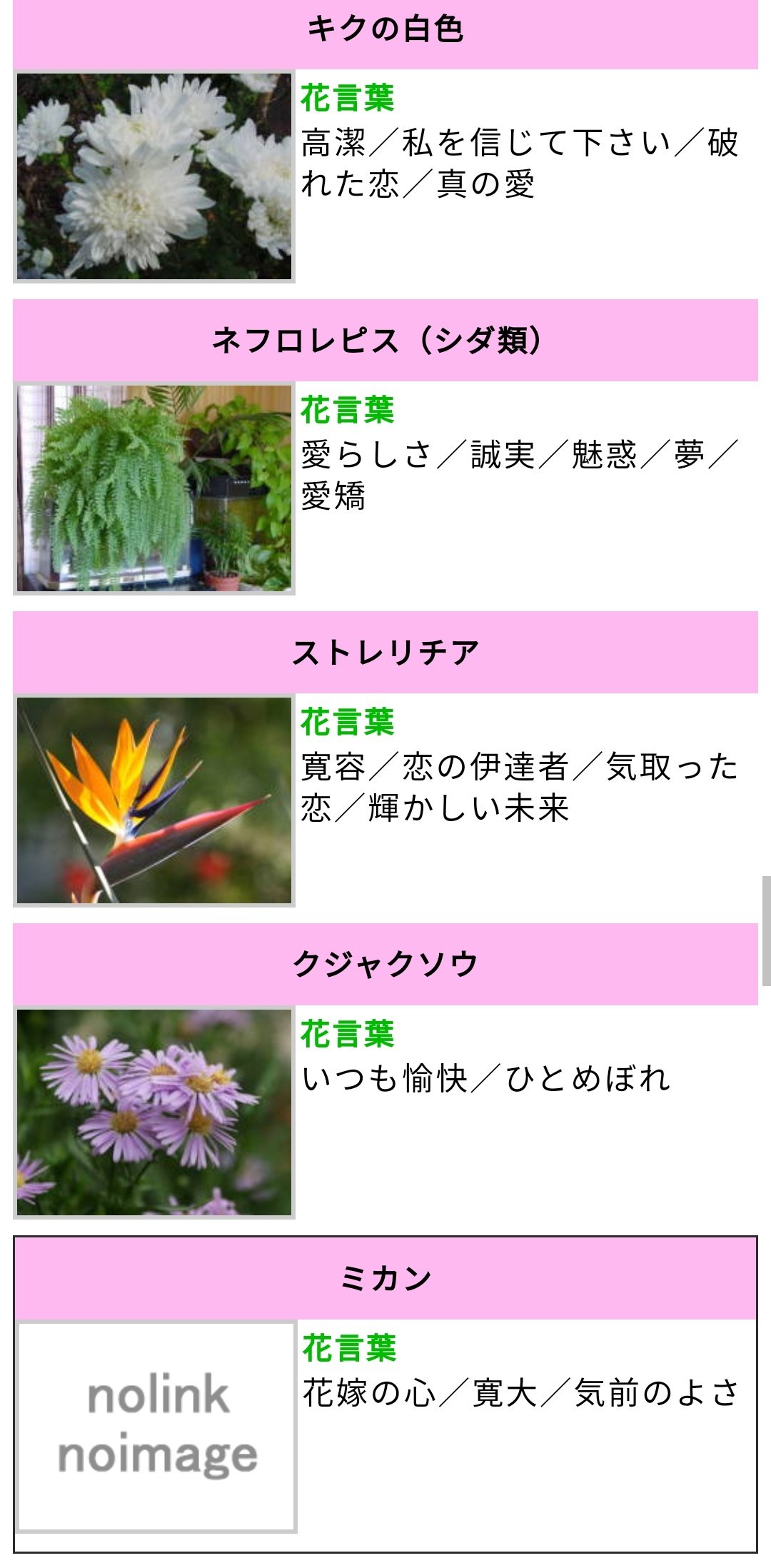 弓梟 ワケあって花言葉を調べていて ついでに生徒会番長様の誕生花の花言葉も調べちゃお と思ったら余りにも それ らしくて涙 白い菊の 高潔 ネフロレピスの 魅惑 ストレリチアの 輝かしい未来 クジャクソウの いつも愉快 ミカンの