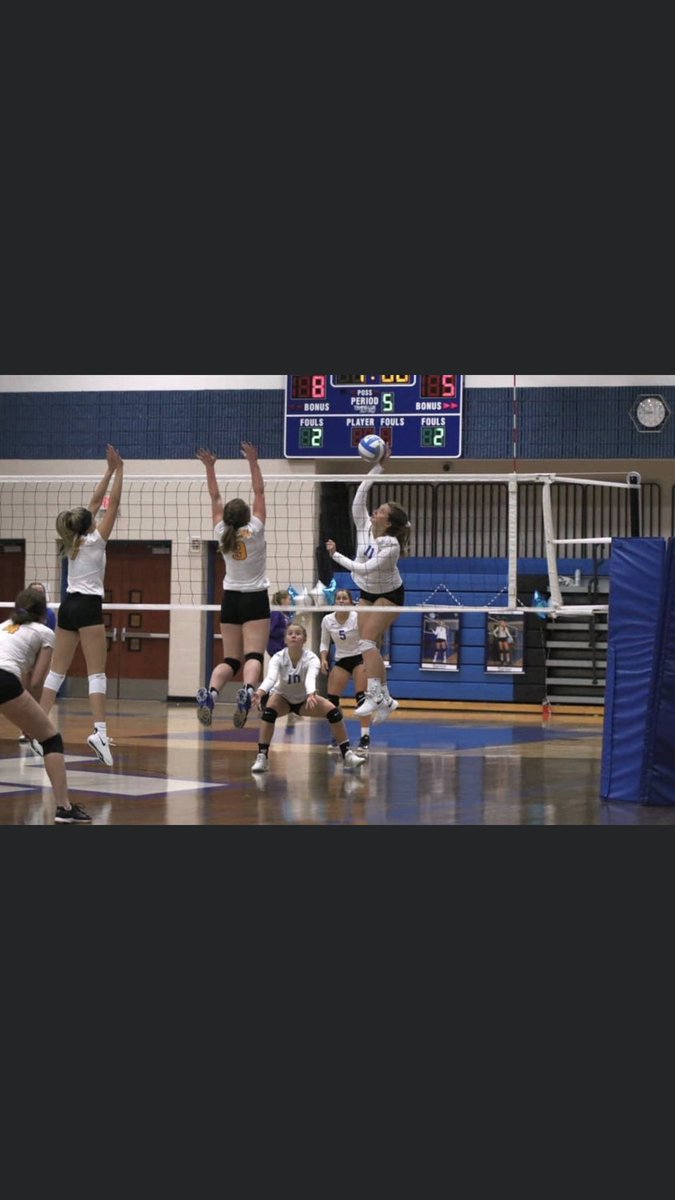 Lake Fenton Volleyball tweet media