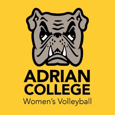 Lake Fenton Volleyball tweet media