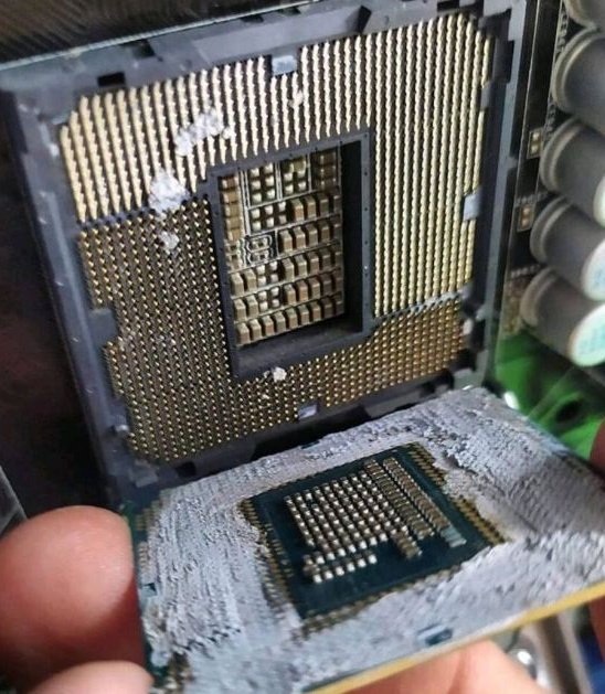 Intellivoid's servers are down because we are trying to fix an issue with our servers. We're really sorry for the inconveniences and we'll try to keep you updated on Twitter and Telegram

(pic not related, we promise.)