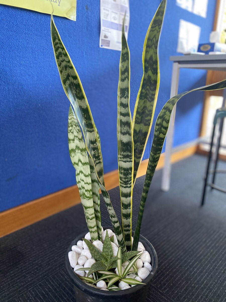 ProjReimaginate's tweet image. Prototyping. Prototyping. Prototyping. 

#ProjectReimaginate