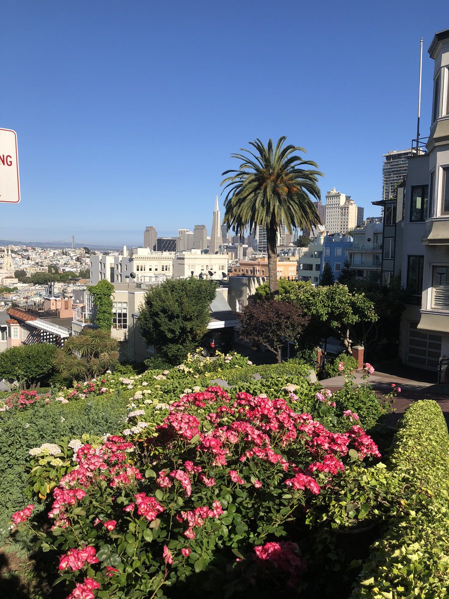 What a beautiful day in the Bay #SanFrancisco #mysf #California