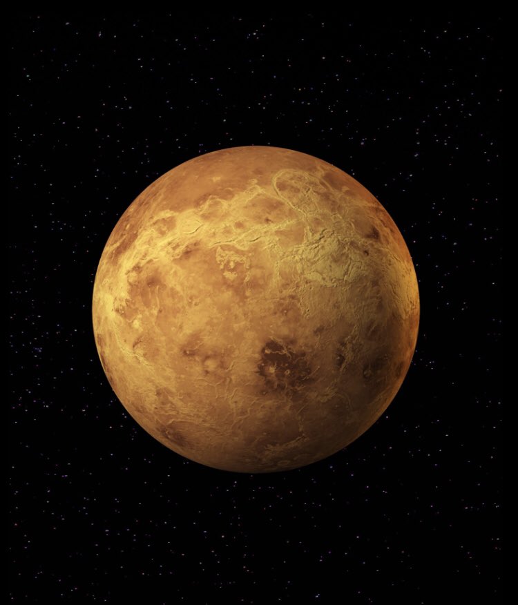 𝐆𝐎𝐋𝐃𝐄𝐍:VENUSshe’s a powerful and warm planet, but maybe just a little too close to the sun.“𝘠𝘰𝘶’𝘳𝘦 𝘴𝘰 𝘨𝘰𝘭𝘥𝘦𝘯.”