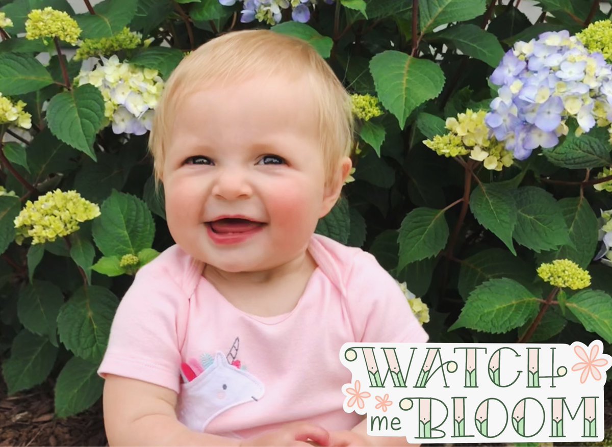 Aharpernc's tweet photo. Grow your own colorful backdrop with @ESHydrangeas! My sweet baby girl loves playing in all the pretty #Bloomstuck beauty❤️ Find this variety and more at @Lowes #bloomsallsummer #growyourownbackdrop #livelifeoutside https://t.co/4TIqw5CFH7