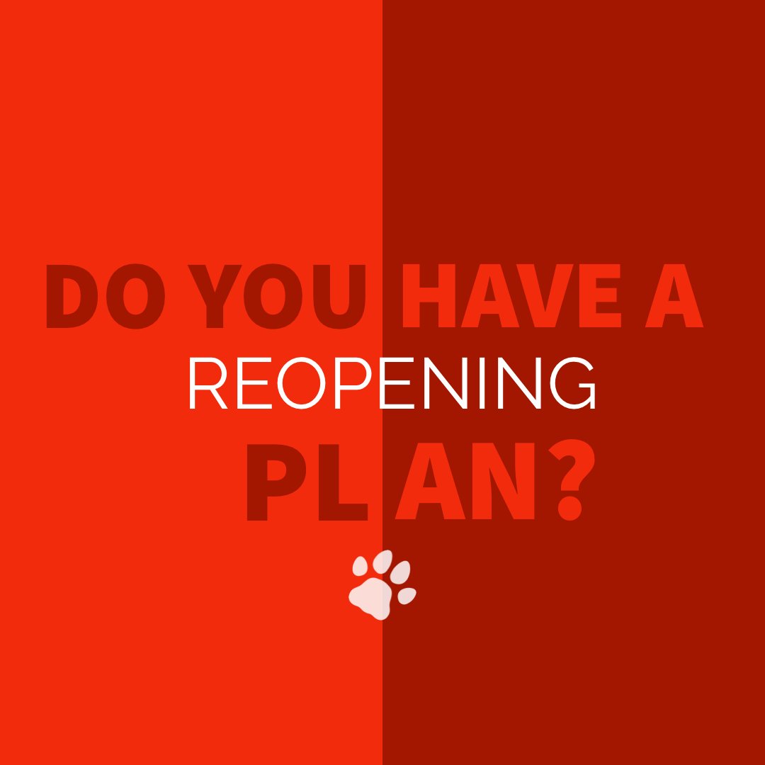 RedDogAgency's tweet photo. Do you need some help getting your name out there while starting to reopen? We got your back! Message us today 🐾 https://t.co/KWKp9OTWZS