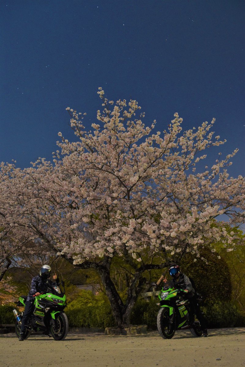 バイク大好き