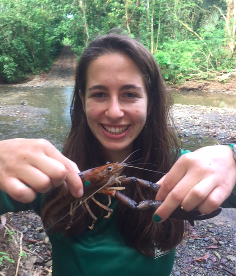 HBrumb's tweet photo. @samfrowe @OpenAcademics I'm Hilary, a solutions-oriented #ConservationScientist.
I work in the Costa Rican #rainforest, managing #grassroots #restoration, #rewilding, #riverconservation, #environmentaleducation and #remotesensing initiatives.
Interested in getting more into #scicomm https://t.co/B3hdWjo7sP