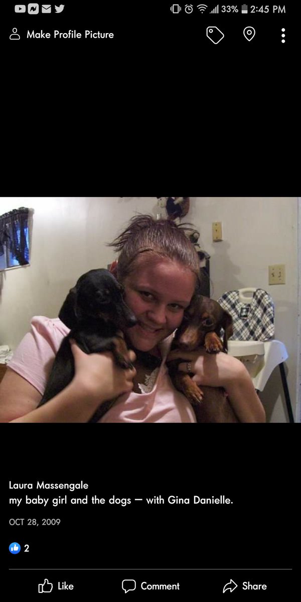 GinaDanielle5's tweet photo. Momma misses you babygirl! 💔💔😭😭
#rip
#myfirstpup
#nooo https://t.co/bCsKFz1Enj