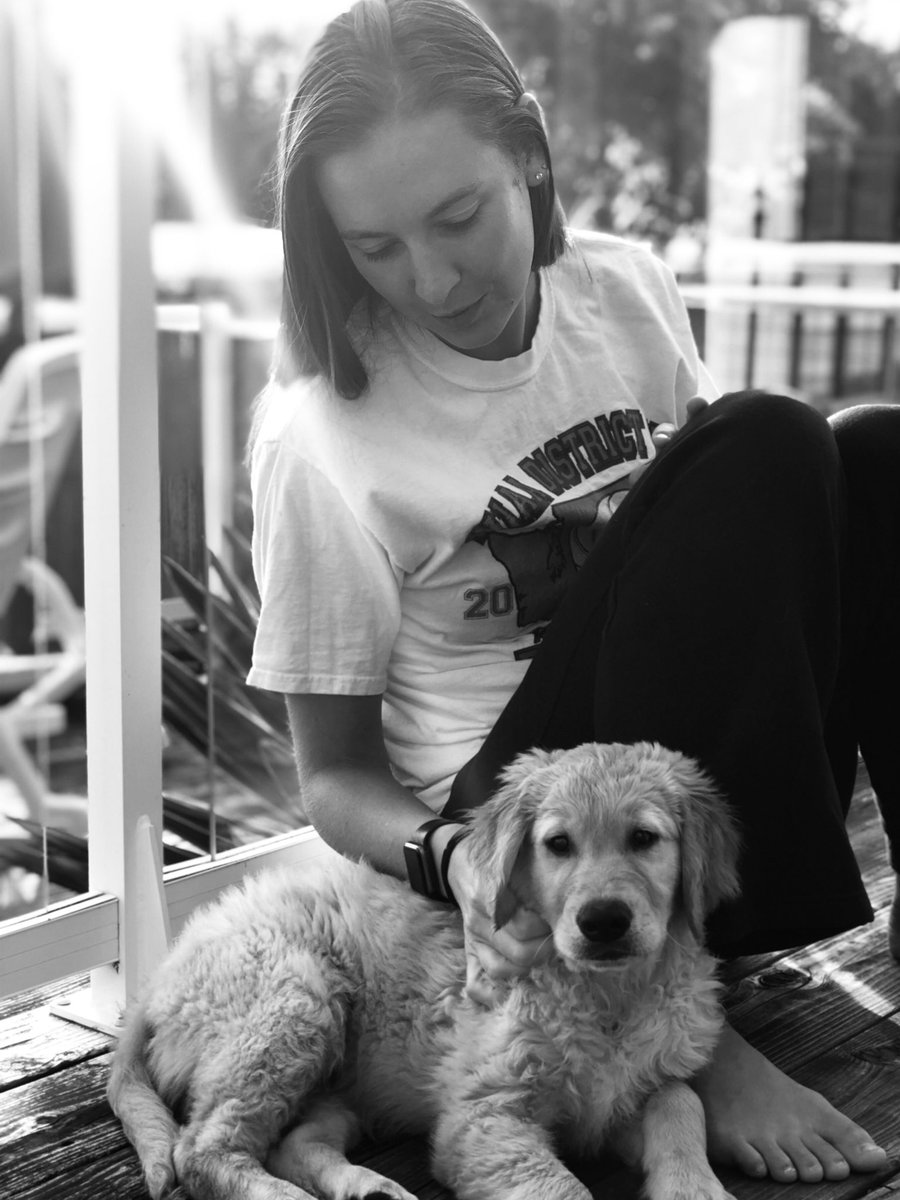 abbymaneman34's tweet photo. Favorite part of coming home from work 💕🐶 #goldenretrievers https://t.co/uI7BJPC8wT