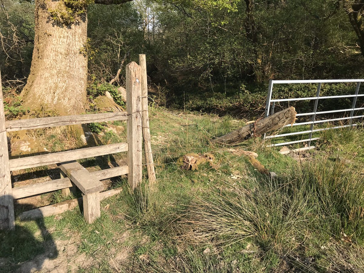 offmyland's tweet photo. @WessexSaint @chuffnicholas69 @1GarethWynJones That’s what I hate. The ‘prenteded’ ignorance. Ohhh sorry mate I didn’t realise as they chuck their crisp packets everywhere. We had this... RIGHT next to a style.. #idiots #ihatelockdown #norespect #fuckmepink! https://t.co/PIuEuVOJr0