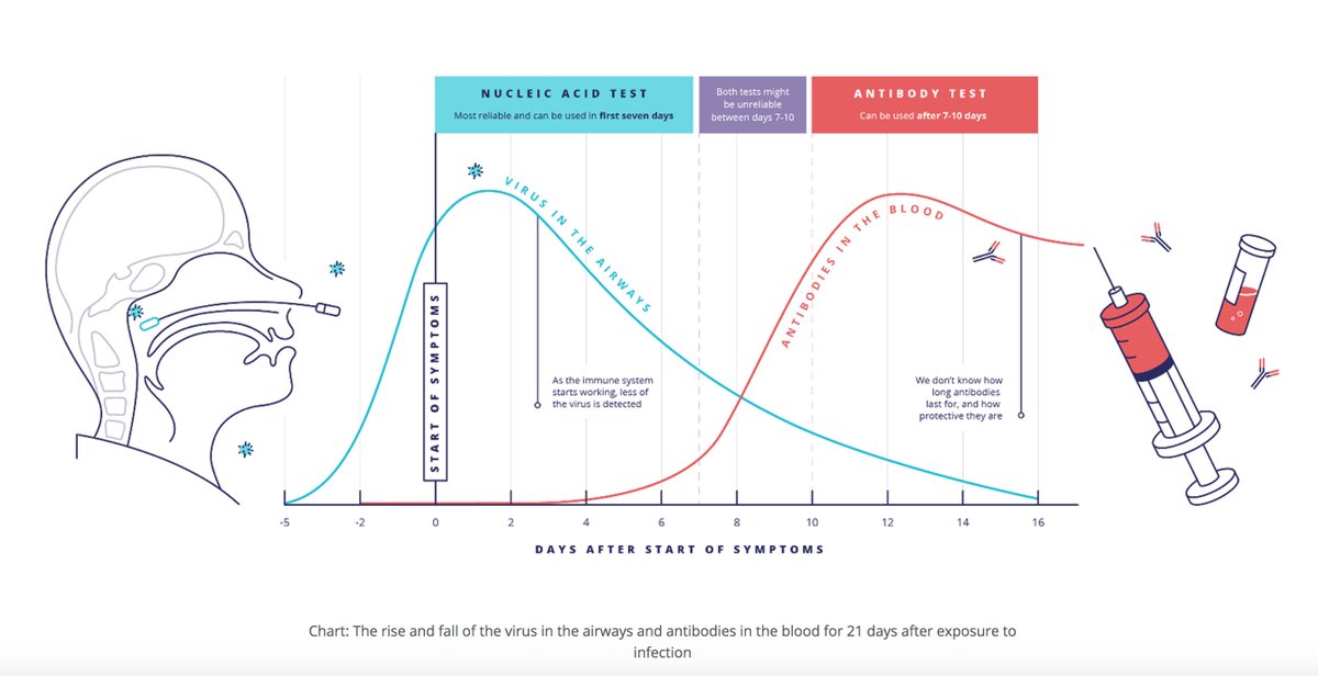 4/ I won't review 2 major tests for Covid: viral vs antibody. Lots of good primers; eg,  https://bit.ly/3ekJIMB . To interpret a test, one must understand the differences ( @CDCgov may have forgotten this:  https://bit.ly/2LZpLyK ), including the timing: viral early; antibody later.