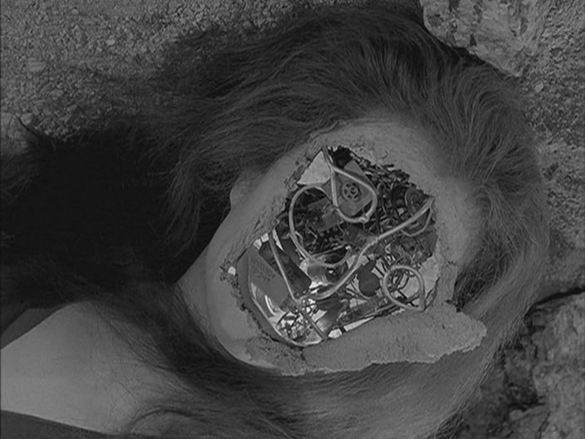 @M0RBID_R0MANCE <a href="/1carolinagirl/">🕯️👻Jeanne Loves Horror👻🕯️</a> <a href="/sluts_guts/">Butts and Guts</a> <a href="/SetDarcyFree/">Darcy T. Mailgrrrl</a> <a href="/kinky_horror/">Diana “Darcy the Mail Ghoul” Prince 🎃💌</a> <a href="/Beyond_The_Gore/">beyondthegore.co.uk</a> <a href="/OctoberBones/">Caleb “Pete” Cabell</a> @ChuckysSideGirl @craiglayton07 @HorrorBigEvil <a href="/JMikeMorbid/">Mirth Morbid</a> @mrmike6543 <a href="/KayOfTheDead666/">Kayofthedead666</a> @Bambi29313558 @abhorrently_urs @Zombiepunk6669 Some of my favorite Twilight Zone episodes: Time Enough At Last, Nick of Time, Masks, It's a Good Life, To Serve Man, The After Hours, Will the Real Martian Please Stand Up, Twenty Two, Eye of the Beholder, The Lonely... so many more! My favorite show.