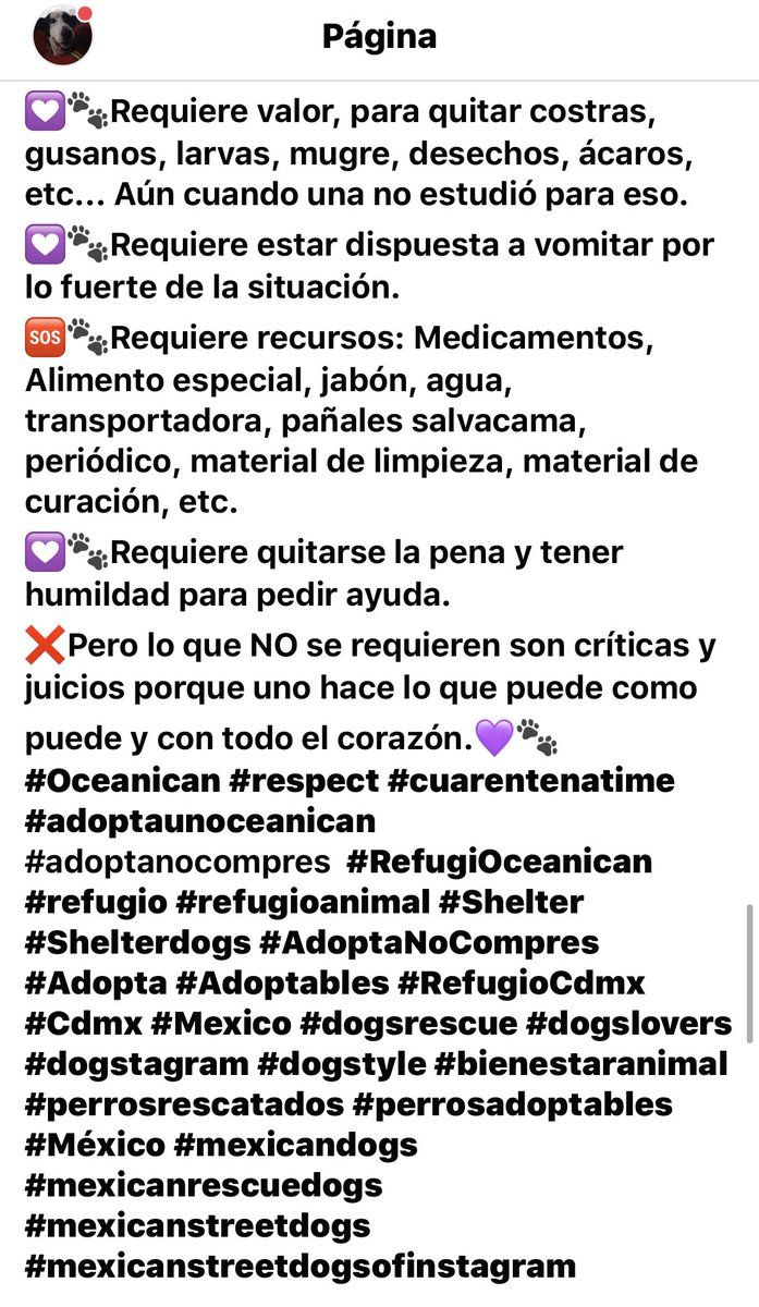 RefugiOceaniCAN's tweet photo. Hoy una señora me escribió en la pág d FB, en el post de los 2 bebés que acabo de rescatar, que mejor ayude a los niños de la calle, me criticó y juzgó duro 😞😞 y esto escribí después de eso.
¿Me ayudarían con un RT por favor???
Gracias!!💜🐾
📸: Soy yo: Areli y es de antier. https://t.co/BeGvn0K0du