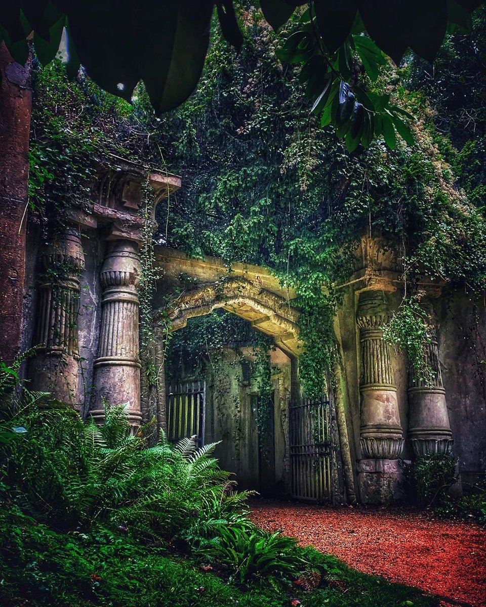 Things2do_AL's tweet photo. Highgate cemetery,  London 📍
•
Perfect for a spooky walk 👻
•
#travel #London https://t.co/CuTuyZcghp