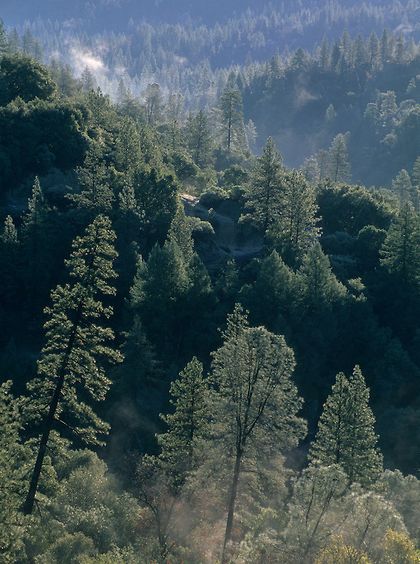 TicaProductions's tweet image. Texture #Cinematic #VisualDirector