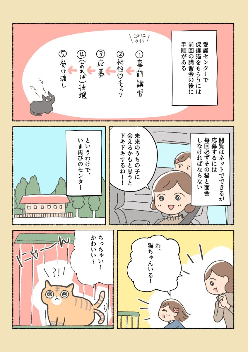 漫画 保護猫ちゃんを家に迎えるまでの話 が泣けるし勉強になるし猫さんがかわいいしでとりあえず見てほしい Togetter