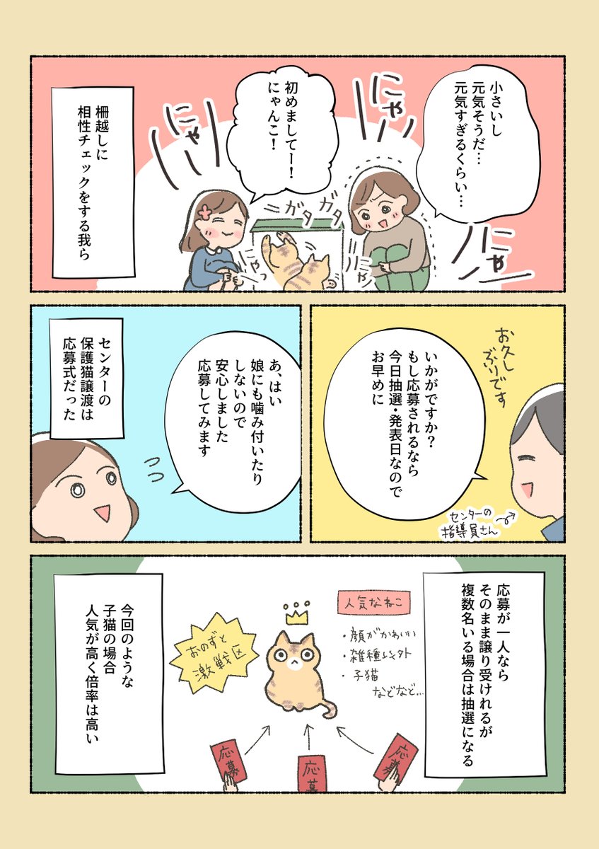 保護猫ちゃんを家に迎え流までの話⑧

出会ってしまいました…

①から読んでくださる方、しばらく固定ツイに置いてます 