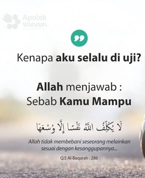 Maaksimal's tweet photo. @jek___ 🙋‍♂️ https://t.co/Y9rF3qM3Fl