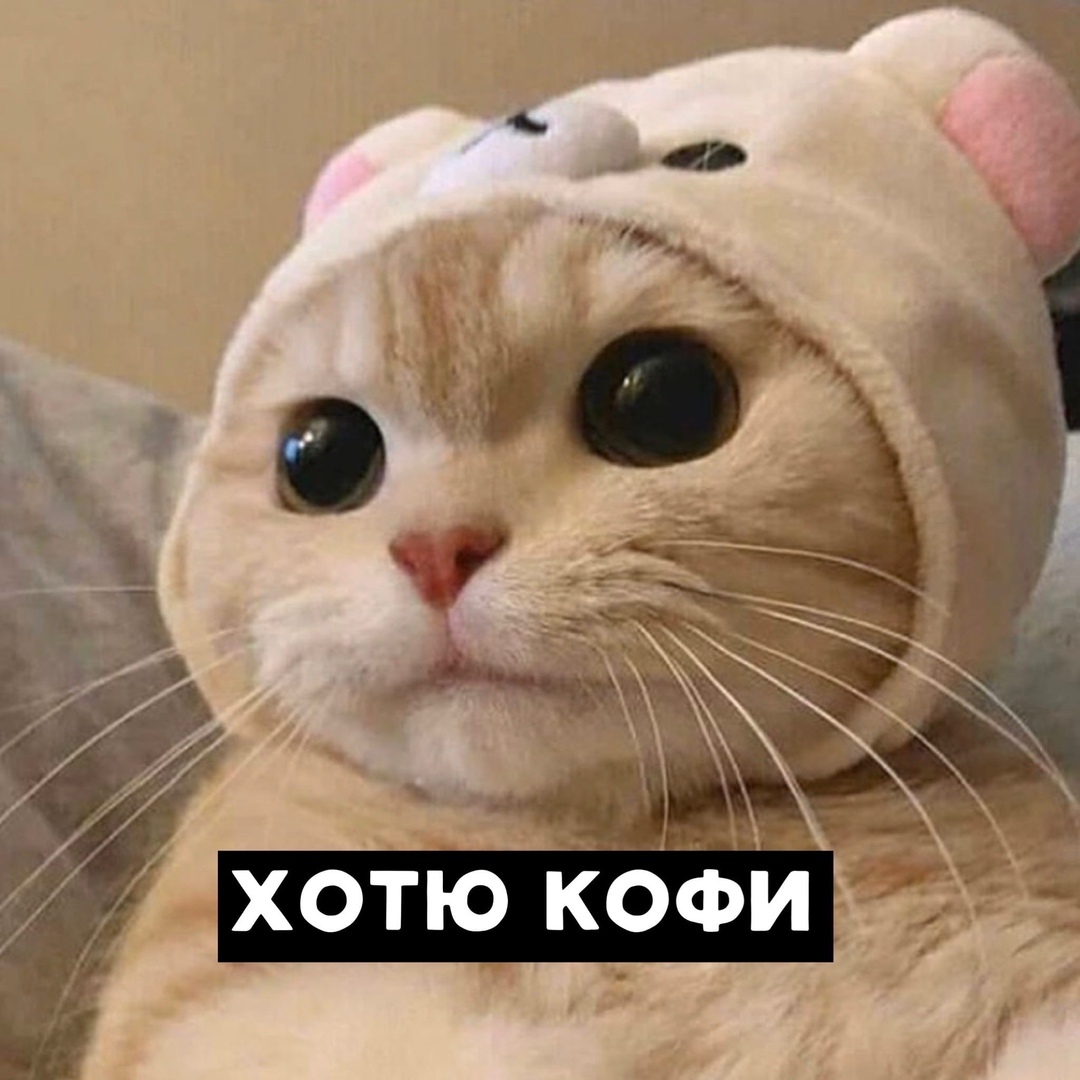 drunktwi's tweet photo. Пo yтpaм y мeня paзгoвoр co вceми кopoткий https://t.co/JGoztuL1Qo