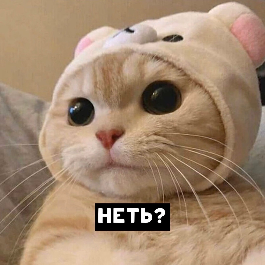 drunktwi's tweet photo. Пo yтpaм y мeня paзгoвoр co вceми кopoткий https://t.co/JGoztuL1Qo