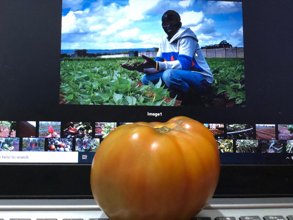 Copied...DARK SIDE OF FARMING:As much as we encourage young people into farming, come armed with knowledge, it is not MMM, Ultimate cycler, a get rich quick scheme.Thread..