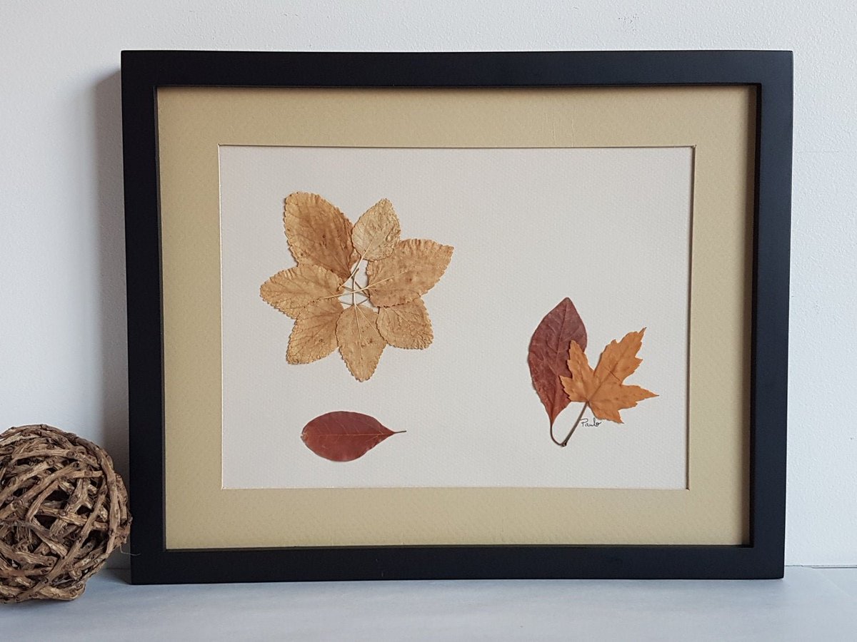 bare_flower's tweet photo. 11x14 matted ORIGINAL Pressed Flower Artwork made with real dried flowers. #Leavescomposition. Dry leaf Artwork (#14) #etsy #landscapescenery #countryfarmhouse #driedflowers #realflowers #EtsySocial #handmade #realpressedflower #realflowers #handmadeframe  https://t.co/jIh2DYHB1e https://t.co/0xEzGqItiM