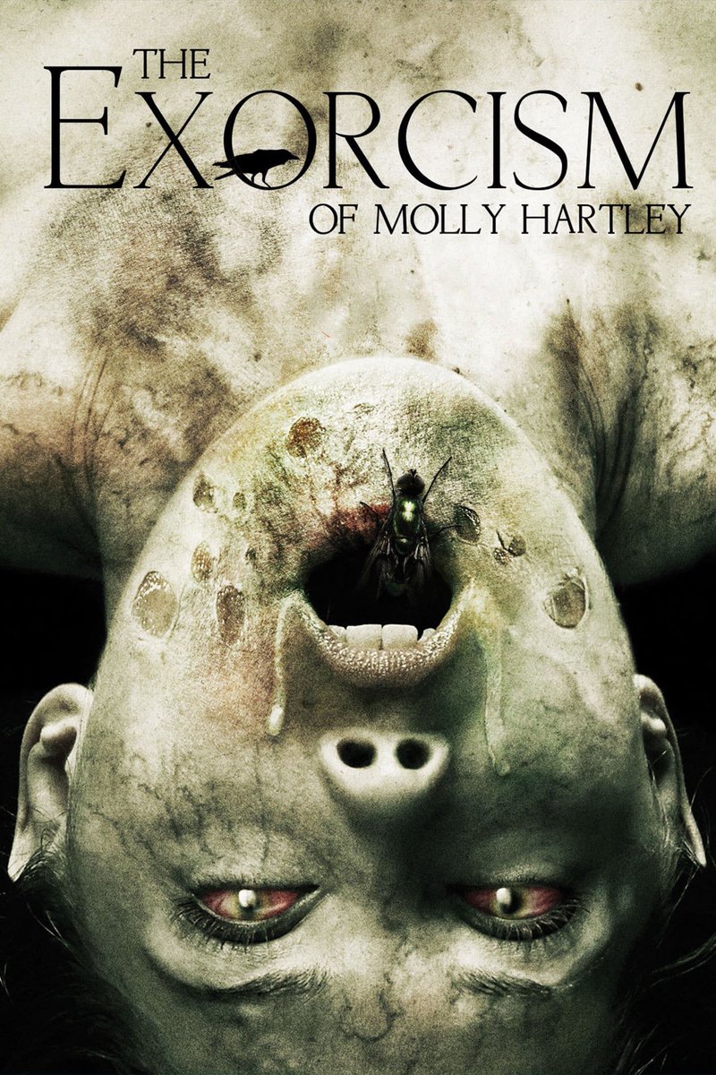 L’EXORCISME DE MOLLY HARTLEYLe film de possession classique ... et moderne, poignant !!!