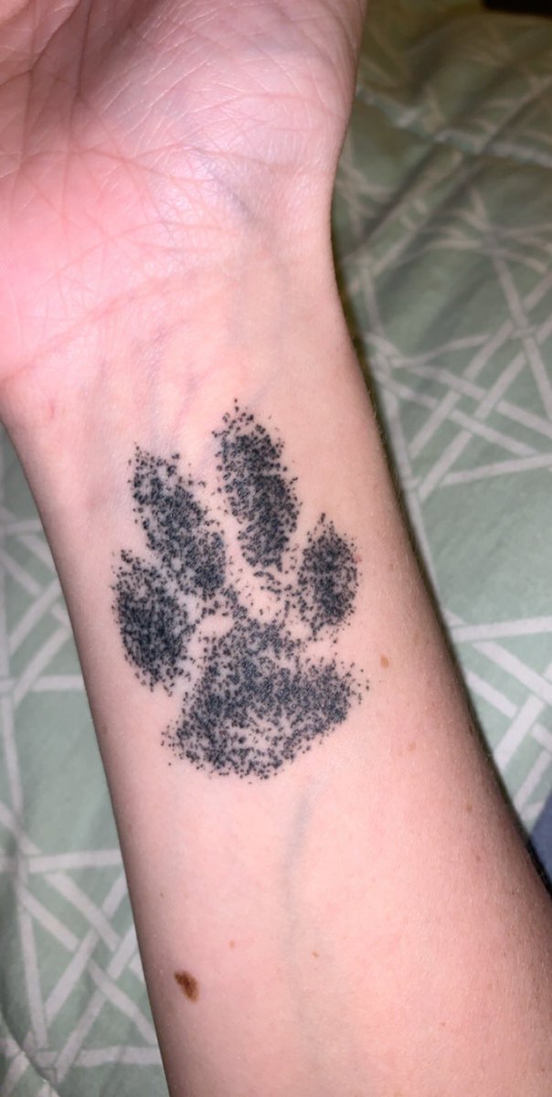 MargaretAnnex3's tweet photo. πΎπ #fureverinmyheart #alwaysonmymind #BenjimanButton https://t.co/EFNT3oAF7Y