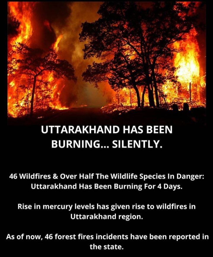 its_vishu_'s tweet photo. All The Media Channel Focus on Fake News and All Leaders Focus on Next Election (Seat)
😭
Every single leader no one cares for people and natures beauty.
😭
#LiveExample
#UttarakhandForestFire #PrayForUttarakhand https://t.co/GHkIA7pa63