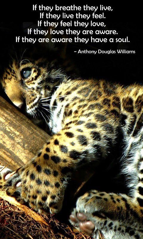 Jjack - Humanity / Nature on Twitter: Jjack - Humanity / Nature on Twitter: