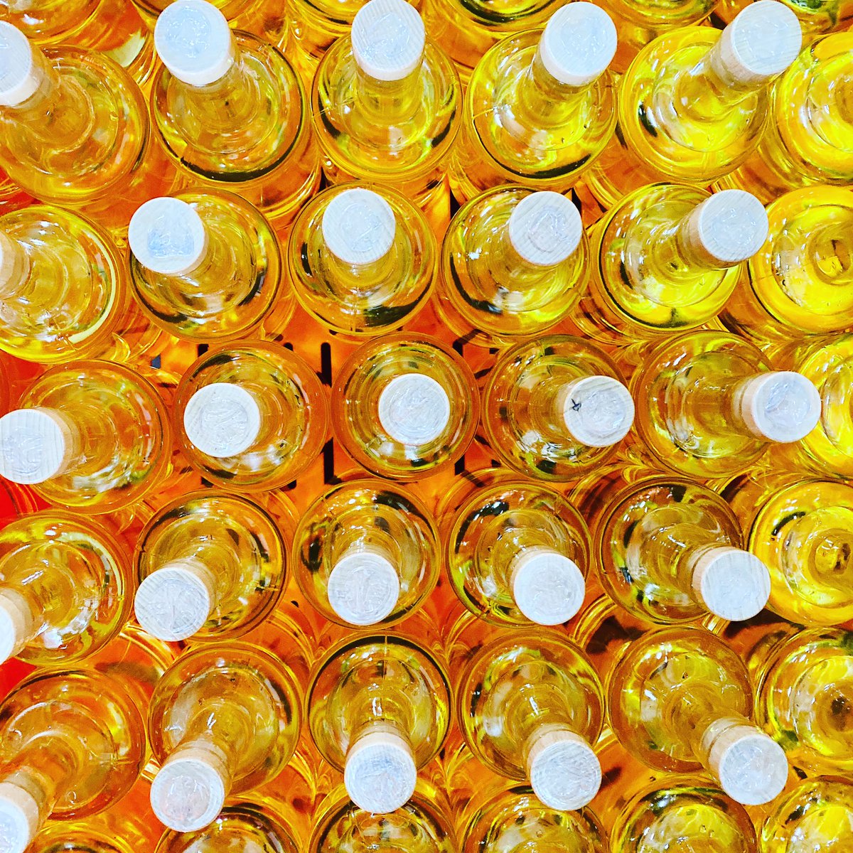 It’s bottling day for our Unpeeled Yuzu Gin! We are so excited to get this to you. Shipping soon :)